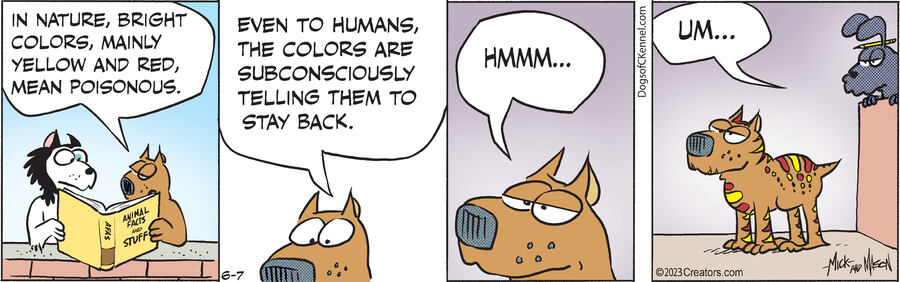 Dogs of C-Kennel for Jun 07, 2023