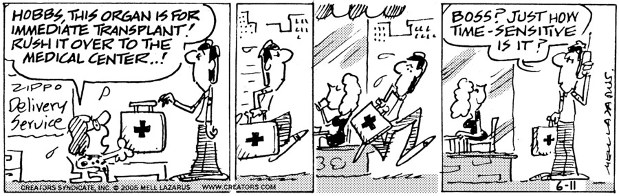 Momma for Jun 11, 2022