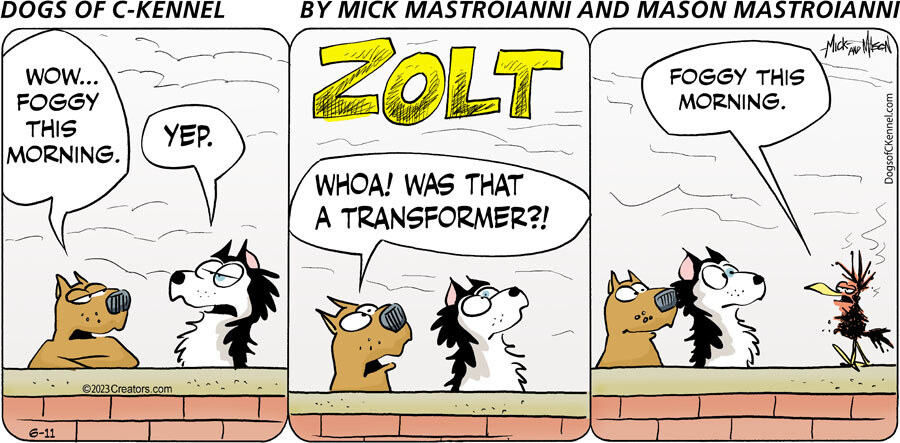Dogs of C-Kennel for Jun 11, 2023
