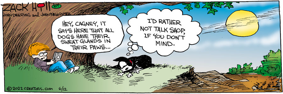 Zack Hill for Jun 12, 2022