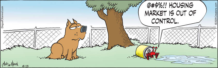 Dogs of C-Kennel for Jun 13, 2024