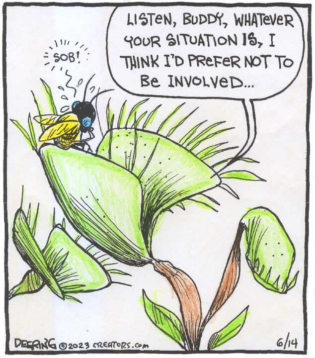 Strange Brew for Jun 14, 2023