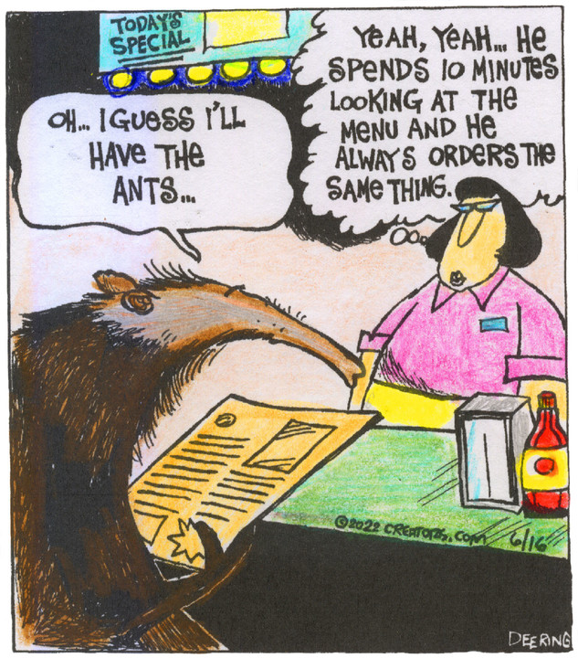 Strange Brew for Jun 16, 2022