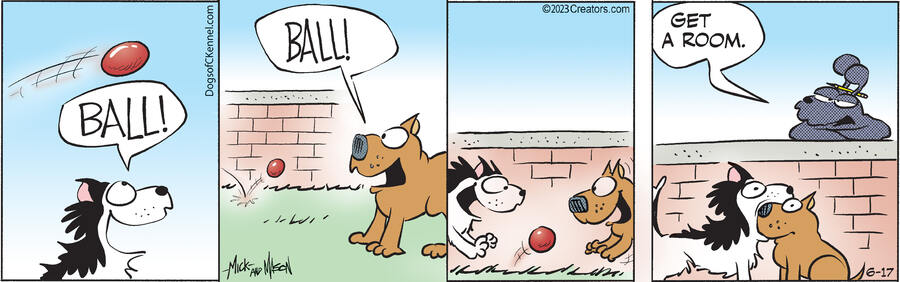 Dogs of C-Kennel for Jun 17, 2023