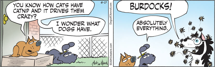 Dogs of C-Kennel for Jun 17, 2024