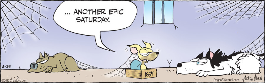 Dogs of C-Kennel for Jun 25, 2022