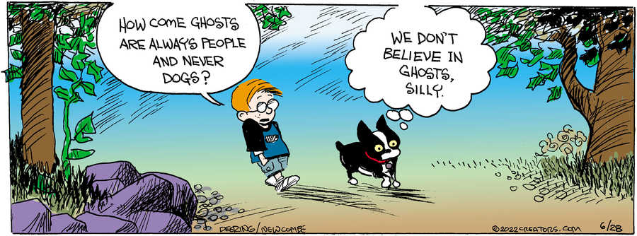 Zack Hill for Jun 28, 2022