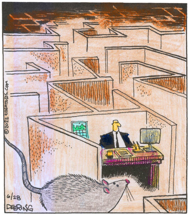 Strange Brew for Jun 28, 2022