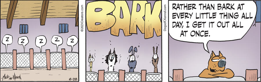 Dogs of C-Kennel for Jun 28, 2023