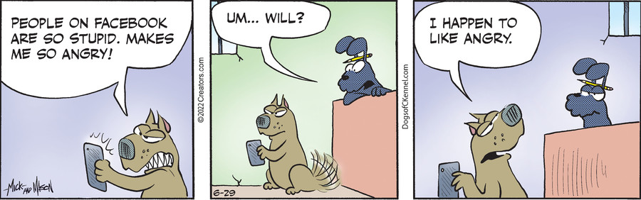 Dogs of C-Kennel for Jun 29, 2022