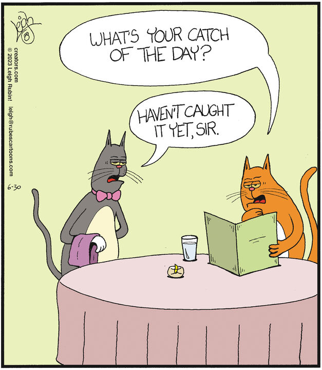 Rubes® for Jun 30, 2023