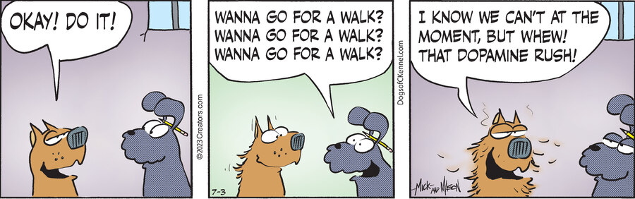 Dogs of C-Kennel for Jul 03, 2023