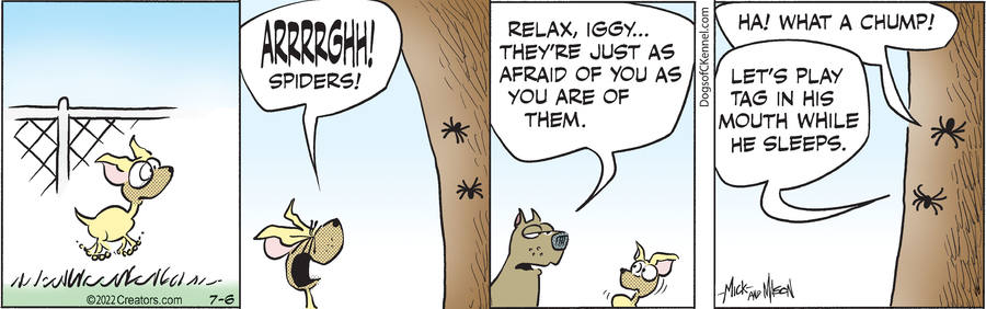 Dogs of C-Kennel for Jul 06, 2022