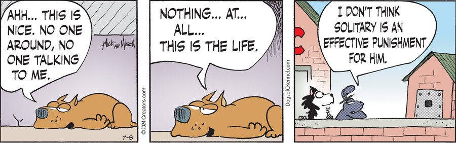 Dogs of C-Kennel for Jul 08, 2024