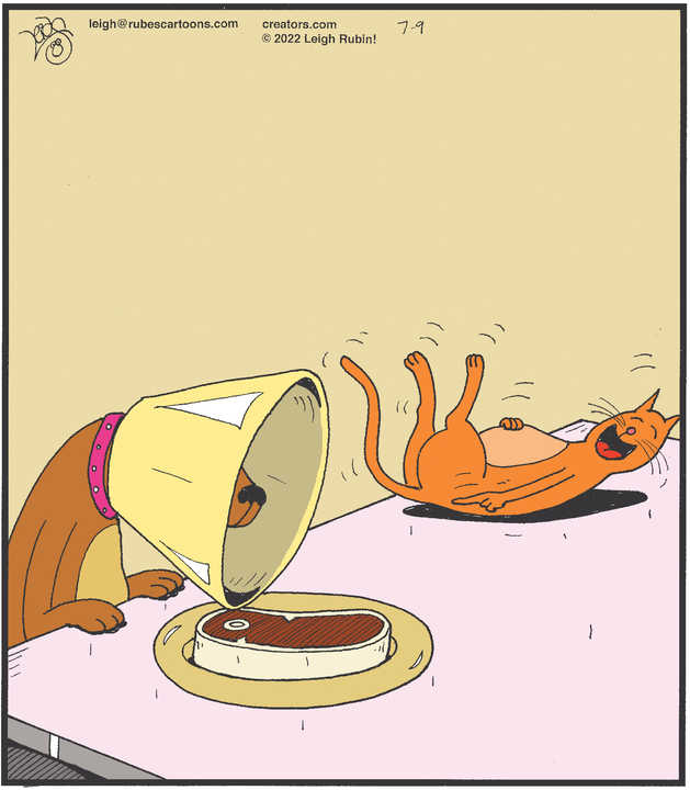 Rubes® for Jul 09, 2022