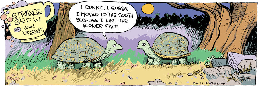 Strange Brew for Jul 16, 2023