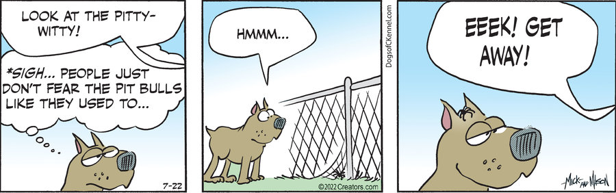 Dogs of C-Kennel for Jul 22, 2022