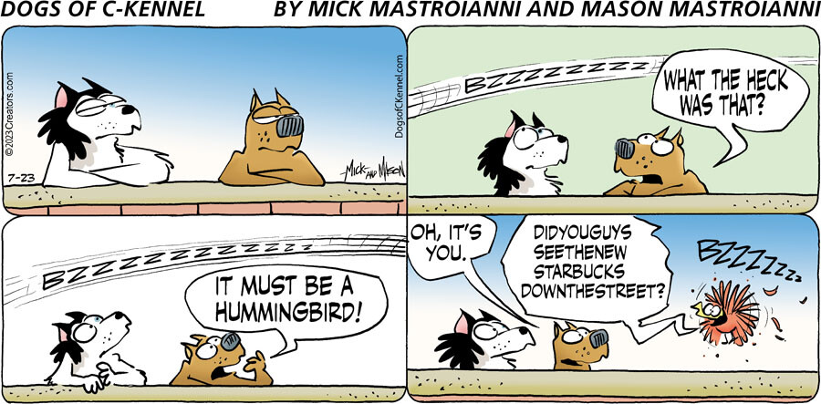 Dogs of C-Kennel for Jul 23, 2023