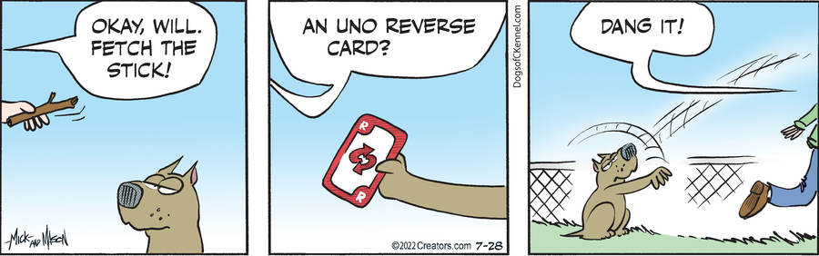 Dogs of C-Kennel for Jul 28, 2022