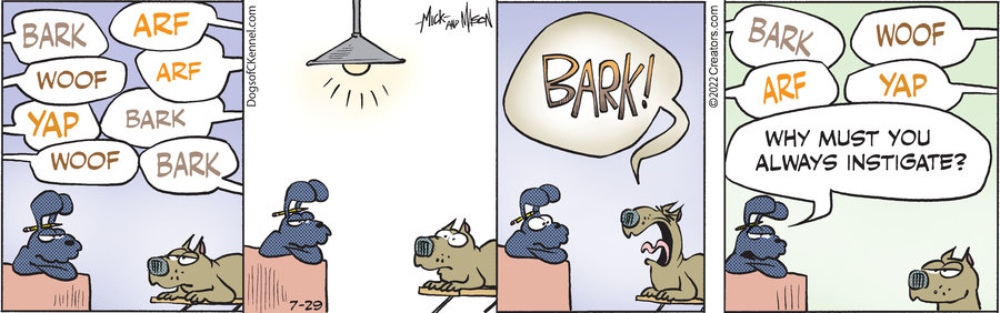 Dogs of C-Kennel for Jul 29, 2022