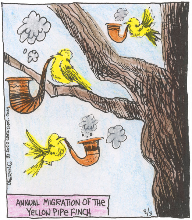 Strange Brew for Aug 03, 2022