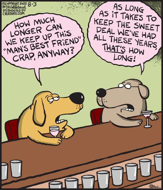 Free Range for Aug 03, 2022