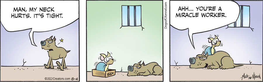 Dogs of C-Kennel for Aug 04, 2022