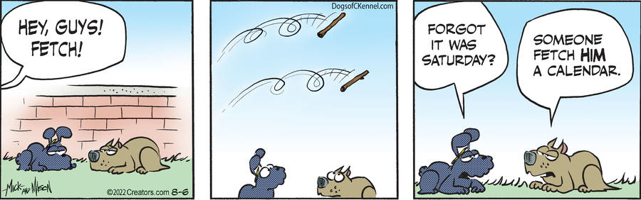 Dogs of C-Kennel for Aug 06, 2022