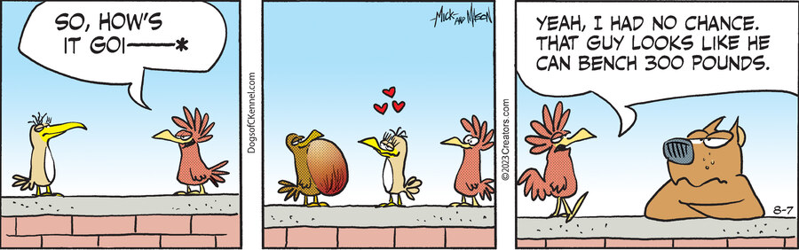 Dogs of C-Kennel for Aug 07, 2023