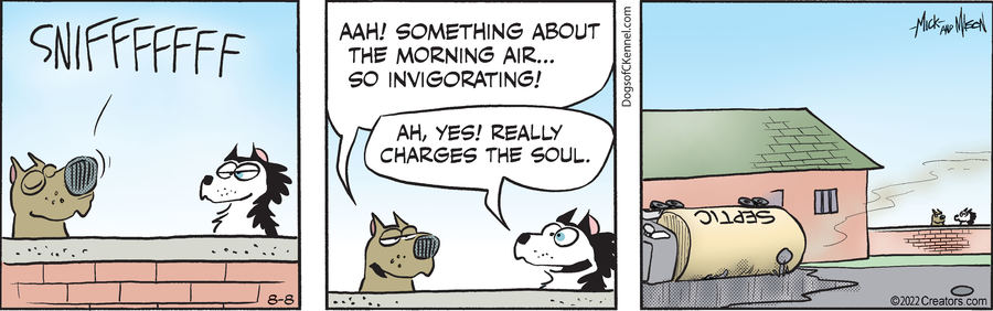 Dogs of C-Kennel for Aug 08, 2022