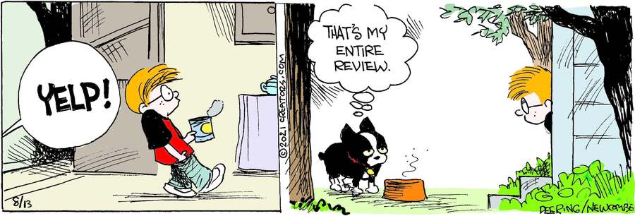 Zack Hill for Aug 13, 2024