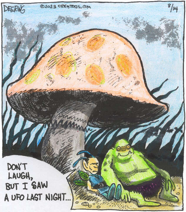 Strange Brew for Aug 14, 2023