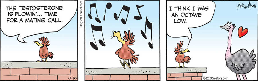 Dogs of C-Kennel for Aug 16, 2022