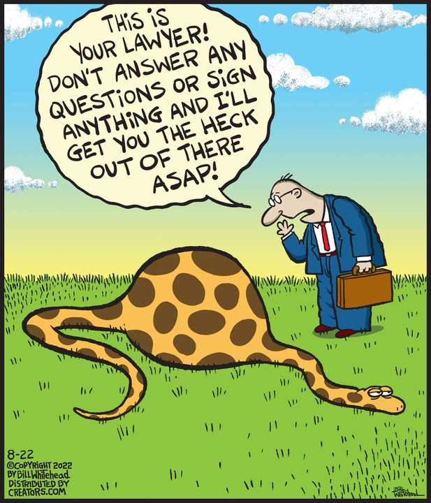 Free Range for Aug 22, 2022