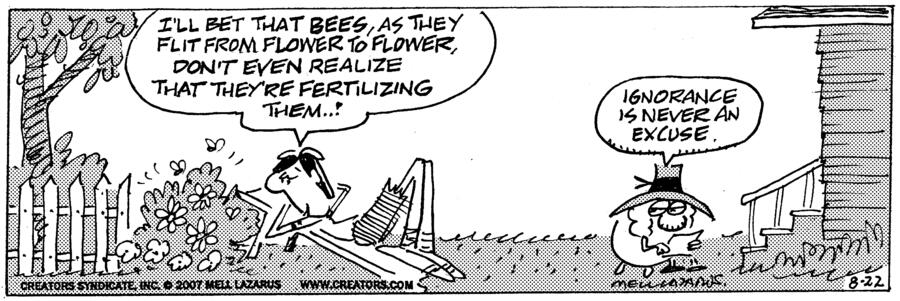 Momma for Aug 22, 2023