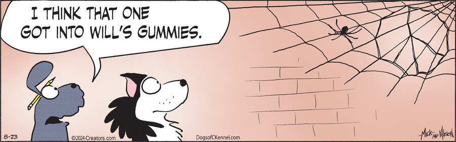 Dogs of C-Kennel for Aug 23, 2024
