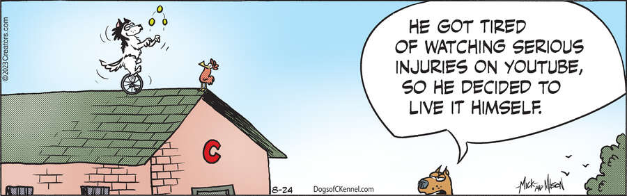 Dogs of C-Kennel for Aug 24, 2023