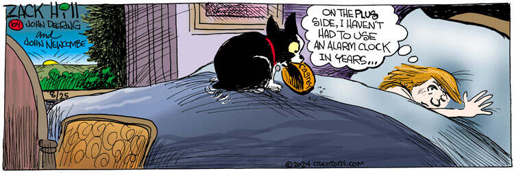 Zack Hill for Aug 25, 2024