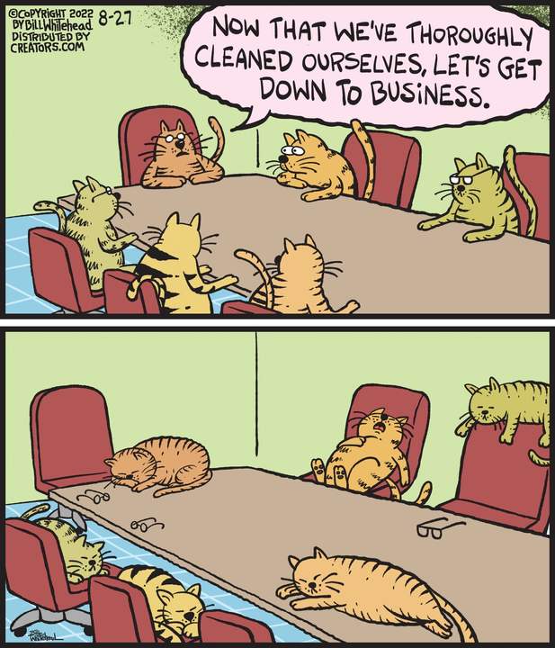 Free Range for Aug 27, 2022