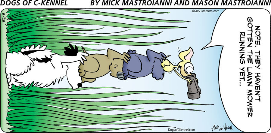 Dogs of C-Kennel for Aug 28, 2022