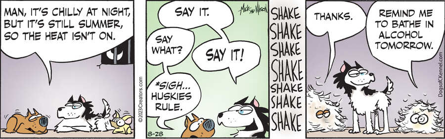 Dogs of C-Kennel for Aug 28, 2023