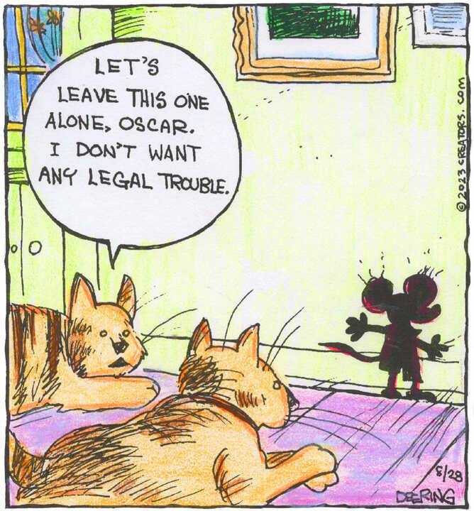 Strange Brew for Aug 28, 2023