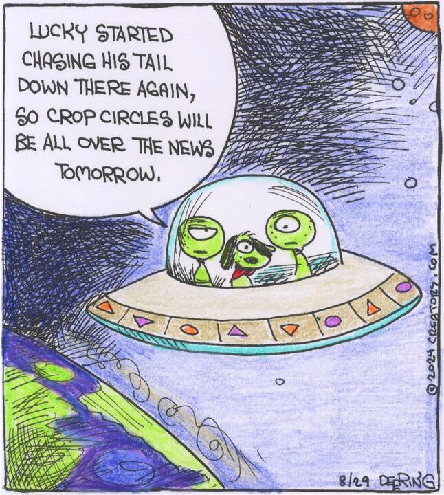 Strange Brew for Aug 29, 2024