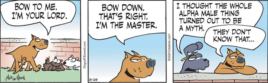 Dogs of C-Kennel for Aug 29, 2024