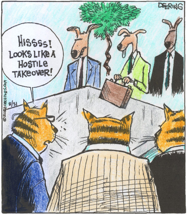 Strange Brew for Aug 31, 2022