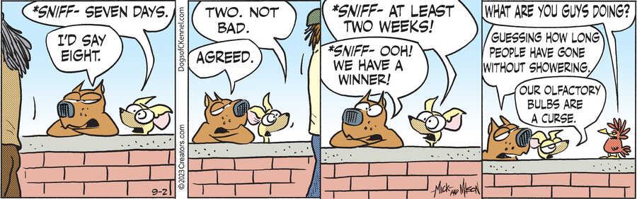Dogs of C-Kennel for Sep 02, 2023
