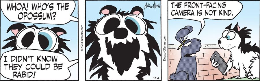 Dogs of C-Kennel for Sep 04, 2024