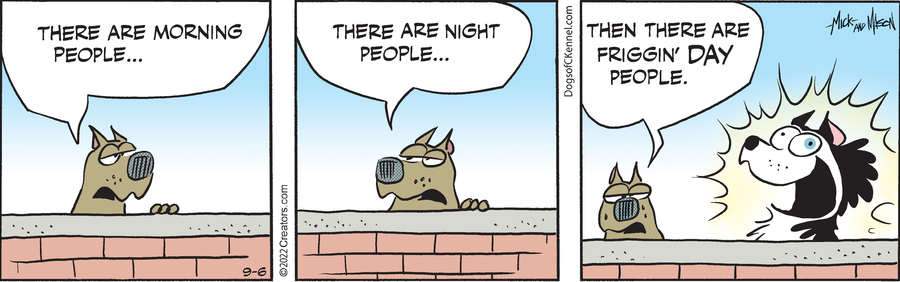 Dogs of C-Kennel for Sep 06, 2022