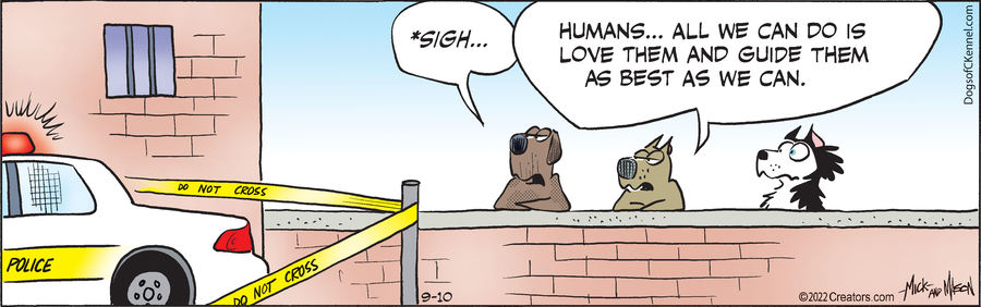 Dogs of C-Kennel for Sep 10, 2022