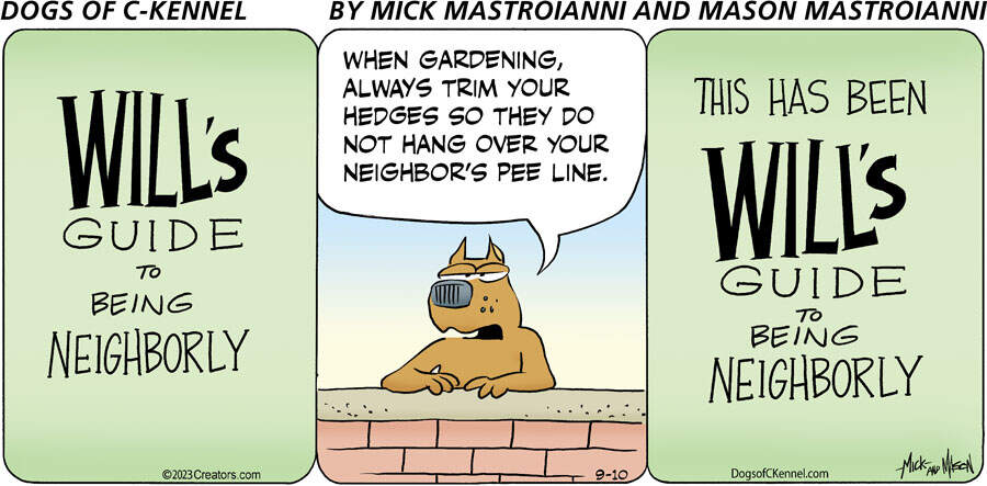 Dogs of C-Kennel for Sep 10, 2023